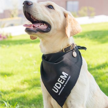 Bandana UDEM para mascota